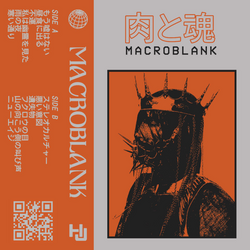 Macroblank - 肉と魂 ep (tape edition) - 11 山の向こう側の叫び声.mp3