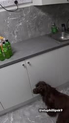 6c9e19dde196b936.mp4