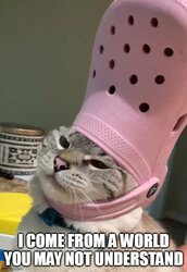 I come from.jpg