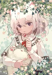 165096351288.webp
