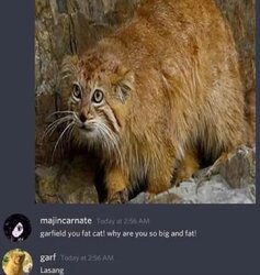 HNHr9tNWcAAofEP.jpg