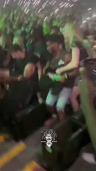 neekerit hakkaa papan.mp4