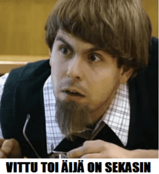 vittu toi on sekasin.png