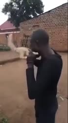 neekeri.mp4
