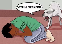 vitun_neekeri.avif