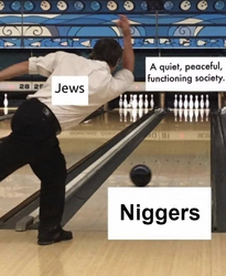 df119641863f778f.avif