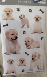 IMG_5933.jpeg