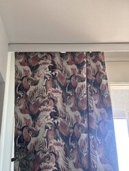 IMG_5934.jpeg