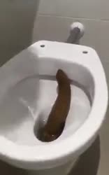 dung.webm