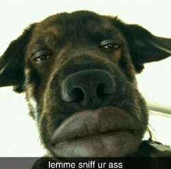 efdb5a294befe39e.jpeg