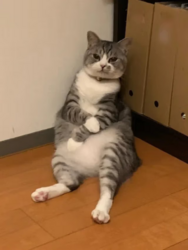 1784032823771.png