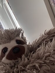 IMG_5969.jpeg