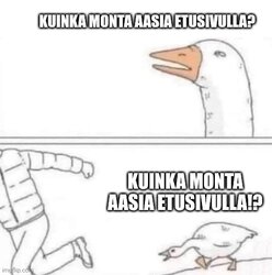 goose.jpg