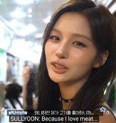 sullyooniliha.png
