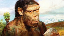 3062cf20682179f5.png