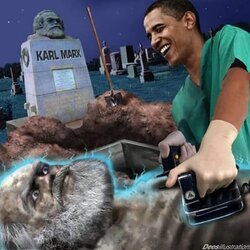obamna david dees.jpg