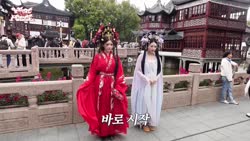 b93bb865dd81b23c.webm