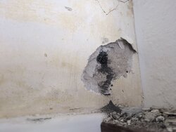 IMG_20260719_165129_668.jpg