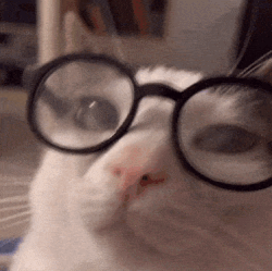 9c0b130238f67dd8.gif