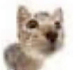 98d641e574ec69c0.png
