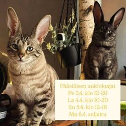 images(1).jpg