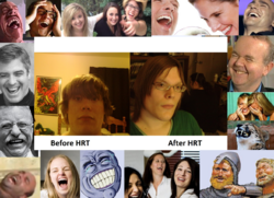 hrt.png
