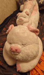 IMG_20260720_181139.jpg