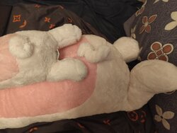 IMG_20260720_181530.jpg