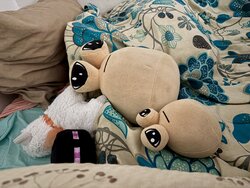 IMG_8084.jpeg