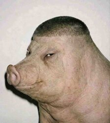 oinkersideeye.jpg