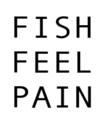 fish.png