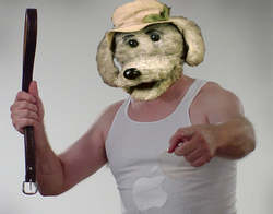f8725a9908ad6007.png