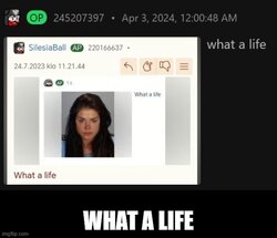 Whatalife-27714-733.jpg