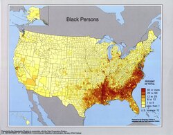 black-2745832678.jpg