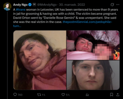 Screenshot 2026-07-21 at 11-25-39 @MrAndyNgo trans pedophile - Haku _ X.png