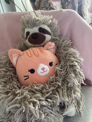 IMG_6092.jpeg