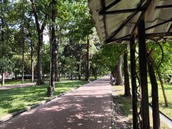 IMG_20260724_160908.jpg