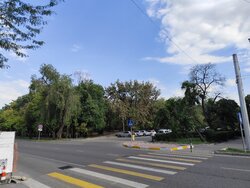IMG_20260724_173535.jpg