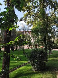 IMG_20260724_174200.jpg