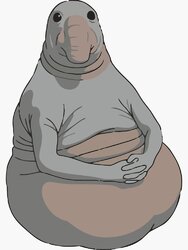 zhdun.jpg