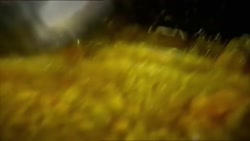 6314322c08c70ade.mp4