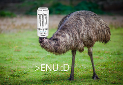 eun.png