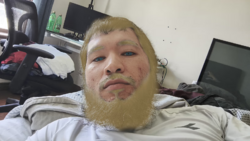 fab0acb1869fef82.png