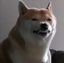 EssaLl8XIAABofO.jpg