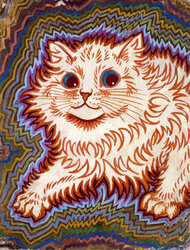 catto_mischievous_defies_reality.jpg