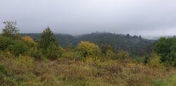 20240502_172030.jpg