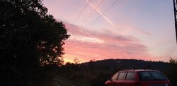 20240524_062926.jpg