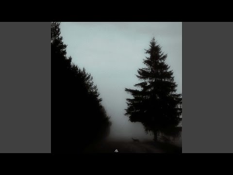 Воспоминания