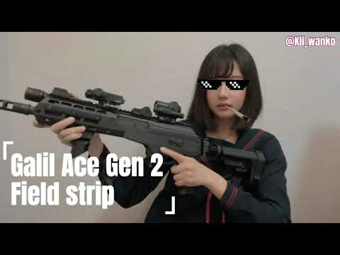 Galil Ace Field Strip but Japanese High School Girl