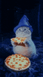 4339